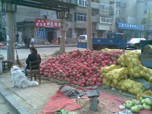 woman-dog-radish